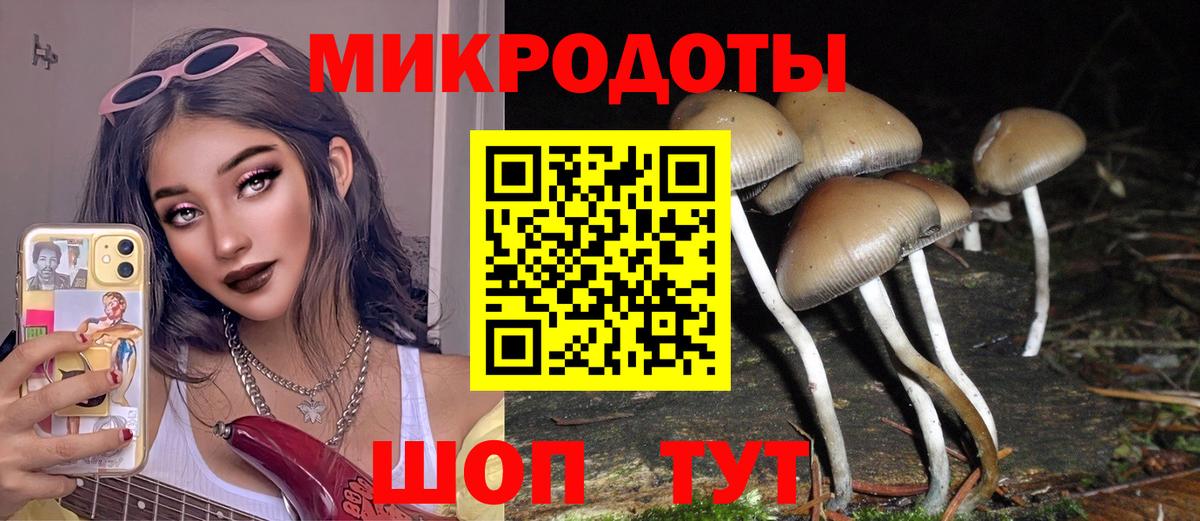 Галлюциногенные грибы MAGIC MUSHROOMS  Галлюциногенные грибы Psilocybe  Вход с VPN  Тосно 